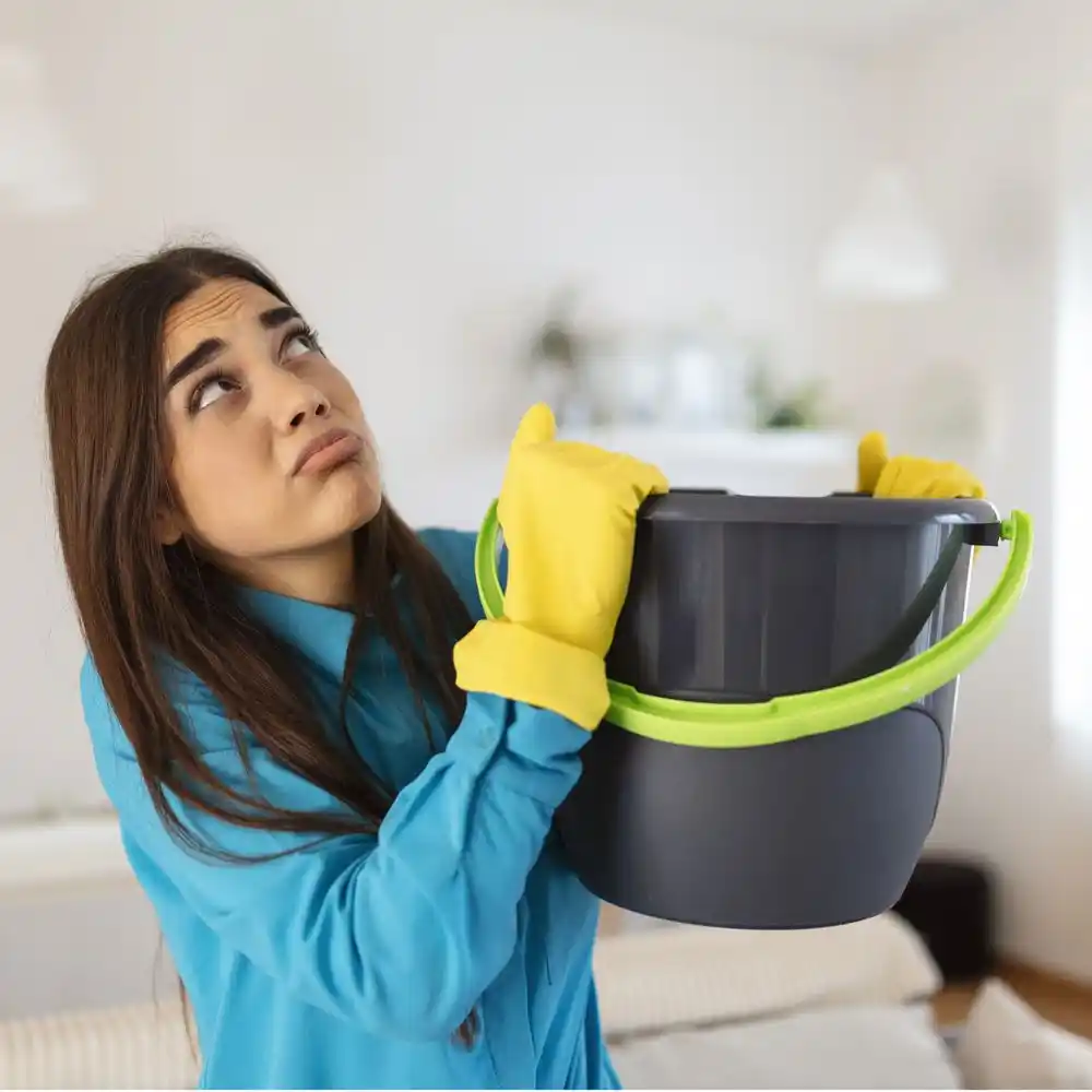 water damage restoration service South Bloomfield